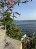 resIMG_20240527_171517_IMG_2914.jpg